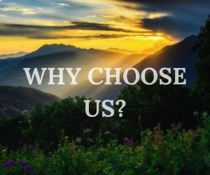 Why Choose Us